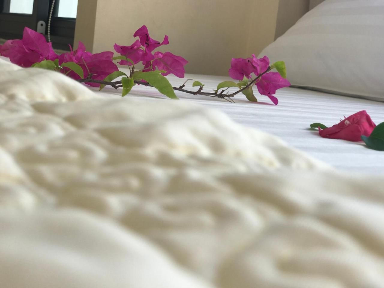 Ha Vy Hotel Cat Ba Island Екстериор снимка